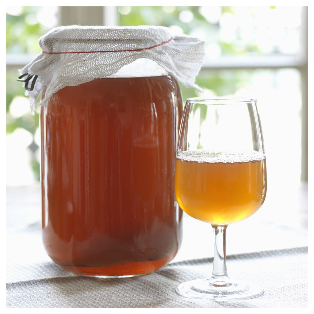 Kombucha / Kombucha Qué es, cómo preparar y propiedades