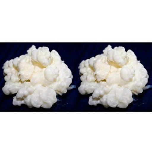 Pack 2x 40g de Granules de Kéfir de Lait