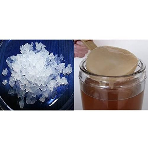 Pack 100g de Granules de Kéfir d’Eau o Fruit + Disque SCOBY Kombucha