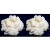 Pack 2x 40g de Granules de Kéfir de Lait