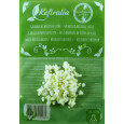 40g de Granules de Kéfir de Lait