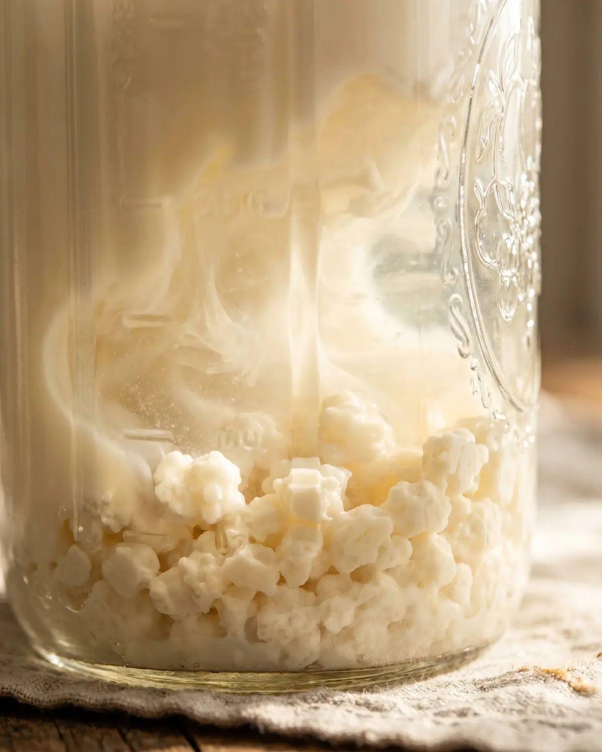 kefir quelle quantité par jour Gros plan de grains de kéfir blanc crème déposés au fond d’un bocal, entourés de lait translucide.