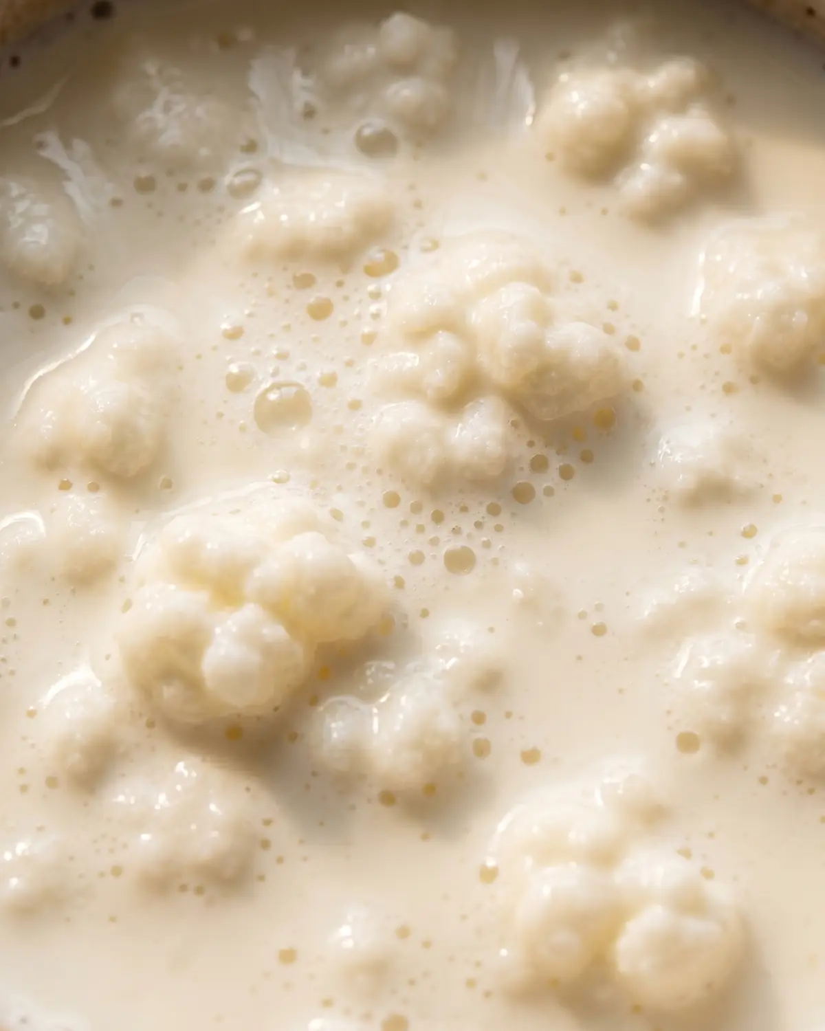 la maison du kefir Surface crémeuse du kéfir de lait vue en macro, avec de fines bulles sous une lumière douce.