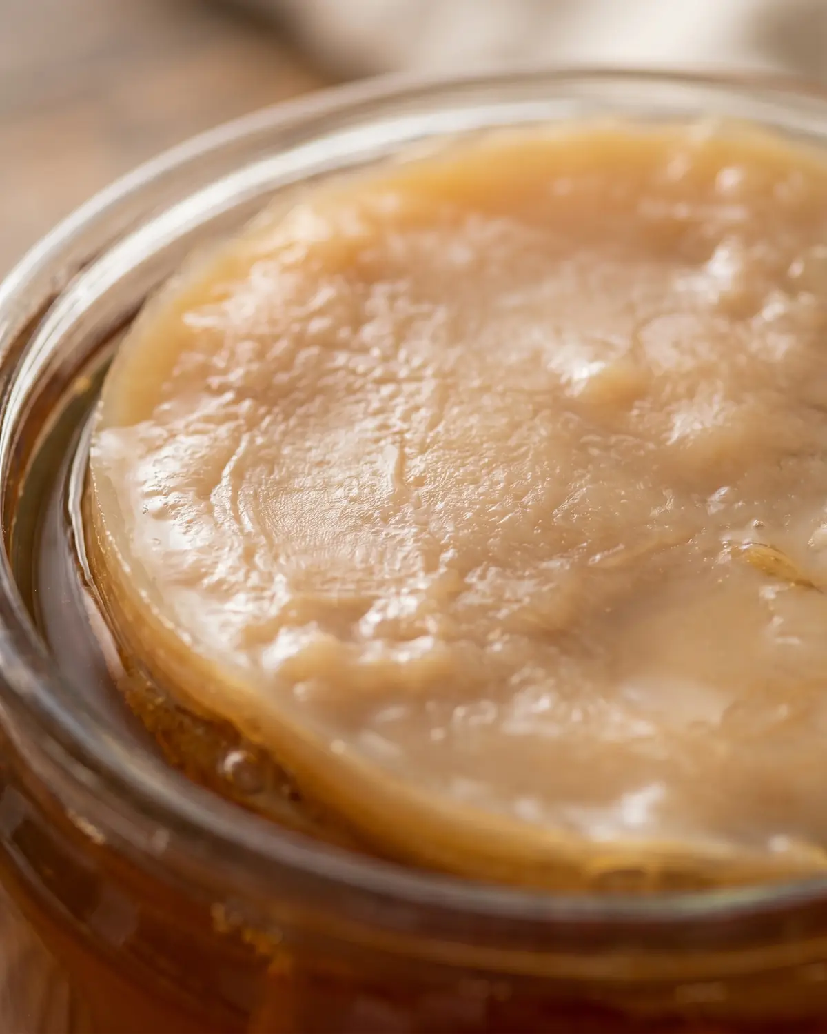 Gros plan sur la texture beige et brune d&rsquo;un SCOBY de kombucha, avec une surface souple et irr&eacute;guli&egrave;re.