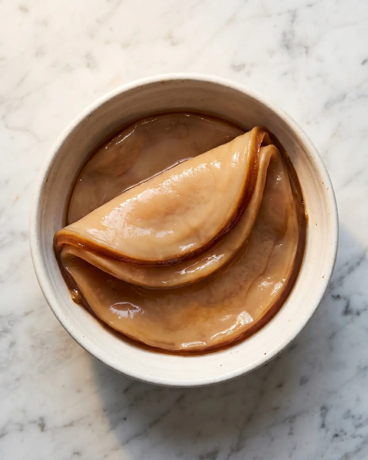 SCOBY &eacute;pais repli&eacute; dans un bol en c&eacute;ramique, avec un bord beige plus fonc&eacute; bien visible.