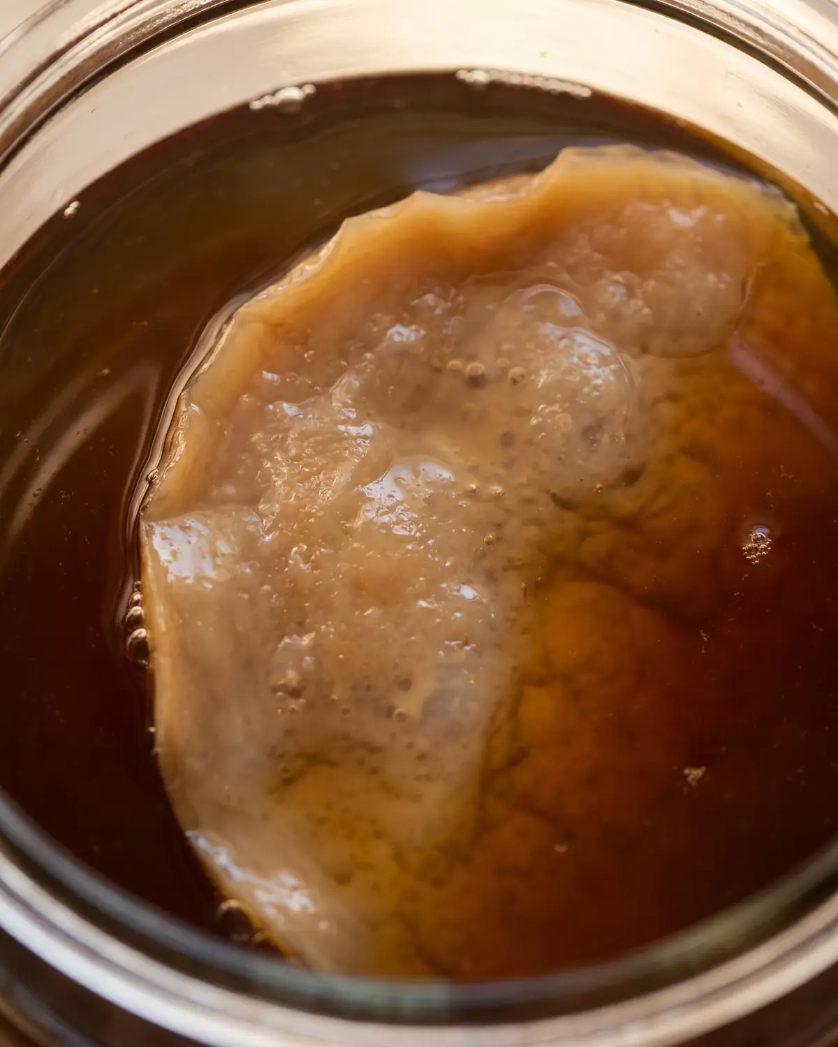 kombucha fruit de la passion SCOBY fin à bord irrégulier flottant dans un thé foncé, observé verticalement depuis le dessus.